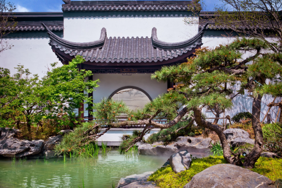 重磅!江宁纯新盘实景示范区马上就开!南京人坐不住了……