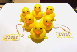 惊喜从天而降!保利江苏30000只“美好鸭”温暖江苏