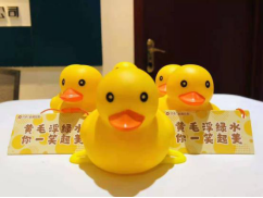 惊喜从天而降！保利江苏30000只“美好鸭”温暖江苏