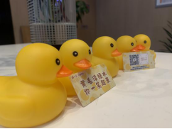 惊喜从天而降！保利江苏30000只“美好鸭”温暖江苏