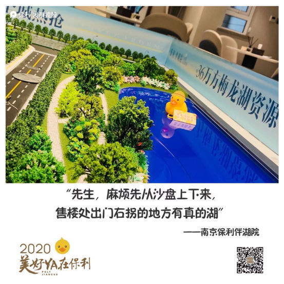 惊喜从天而降!保利江苏30000只“美好鸭”温暖江苏