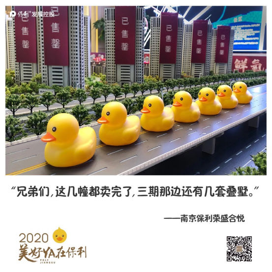 惊喜从天而降！保利江苏30000只“美好鸭”温暖江苏