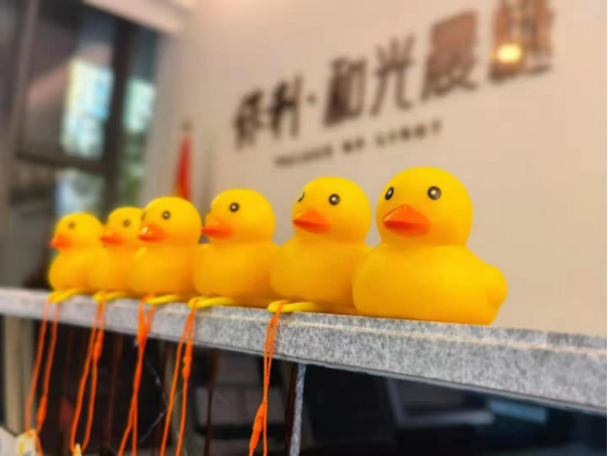 惊喜从天而降！保利江苏30000只“美好鸭”温暖江苏