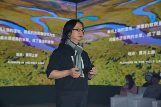 芳原VILLA丨重构上秦淮低密人居新标准