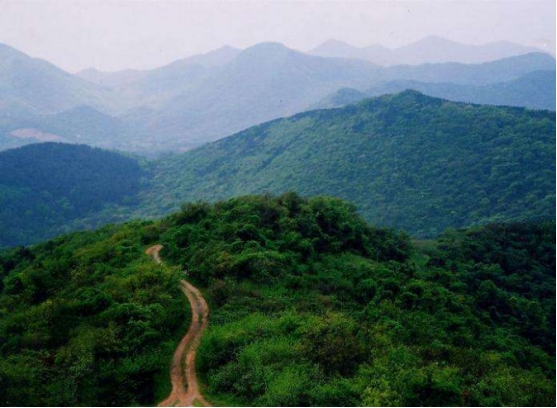 老山两叠真墅，三胎家庭的居住优选
