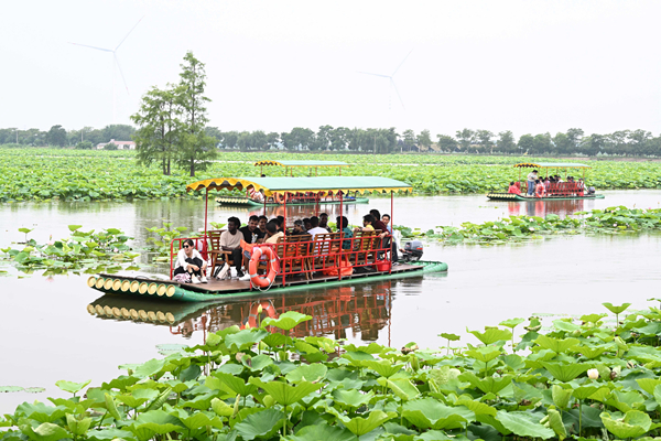 江苏金湖:文体赛事赋能“花经济”